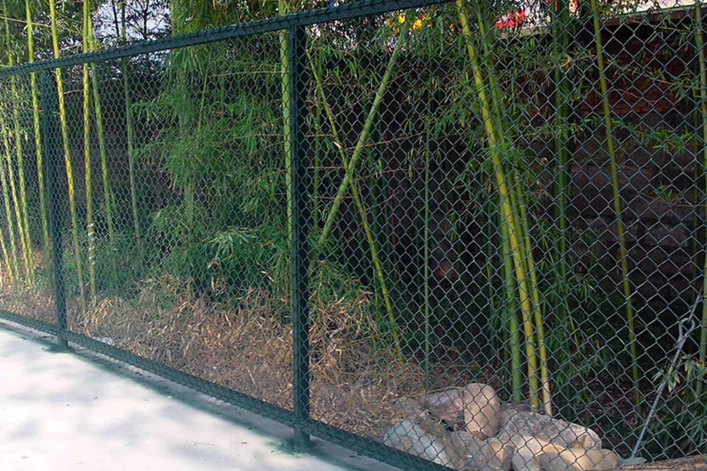 Chain Link Fence