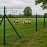 Pasture-boundary context thumbnail