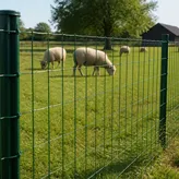 Existing orchard context thumbnail