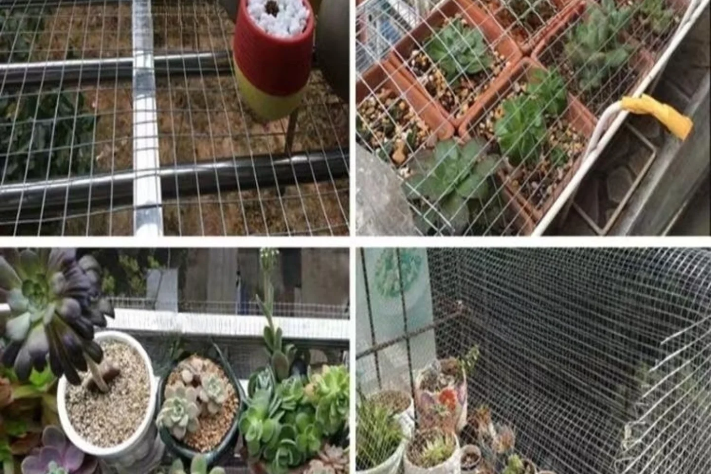 Rust-Resistant Galvanized Wire Mesh